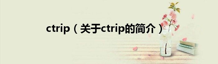 ctrip（關于ctrip的簡介）