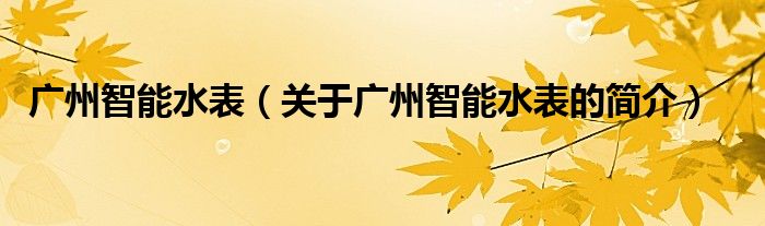 廣州智能水表（關(guān)于廣州智能水表的簡(jiǎn)介）