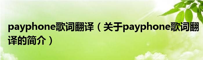 payphone歌詞翻譯（關(guān)于payphone歌詞翻譯的簡介）