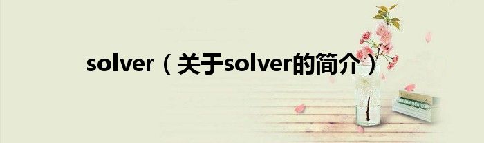 solver（關于solver的簡介）