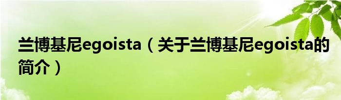 蘭博基尼egoista（關(guān)于蘭博基尼egoista的簡介）