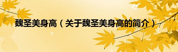 魏圣美身高（關(guān)于魏圣美身高的簡(jiǎn)介）