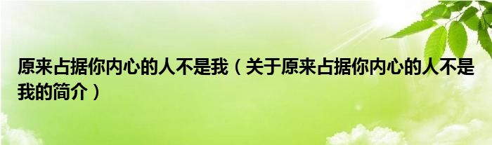 原來占據(jù)你內(nèi)心的人不是我（關(guān)于原來占據(jù)你內(nèi)心的人不是我的簡介）