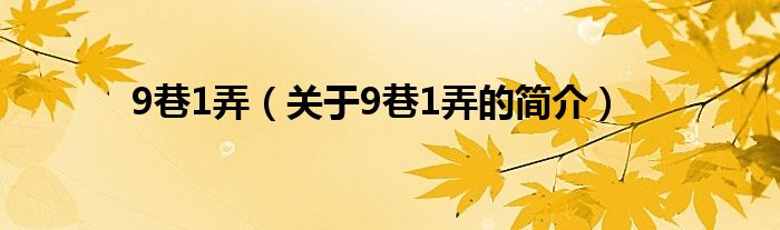 9巷1弄（關(guān)于9巷1弄的簡介）