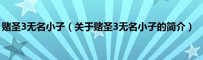 賭圣3無(wú)名小子（關(guān)于賭圣3無(wú)名小子的簡(jiǎn)介）