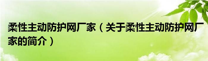 柔性主動防護網(wǎng)廠家（關于柔性主動防護網(wǎng)廠家的簡介）