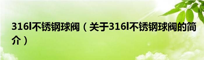 316l不銹鋼球閥（關于316l不銹鋼球閥的簡介）