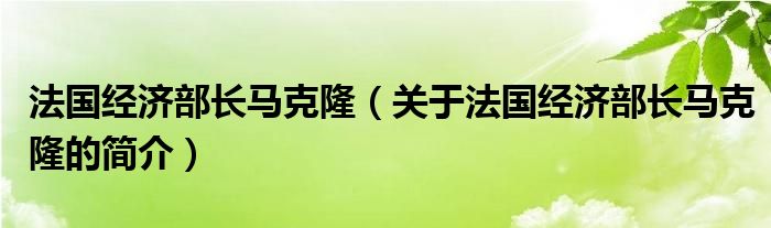 法國經(jīng)濟(jì)部長馬克隆（關(guān)于法國經(jīng)濟(jì)部長馬克隆的簡介）