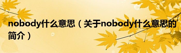 nobody什么意思（關(guān)于nobody什么意思的簡(jiǎn)介）