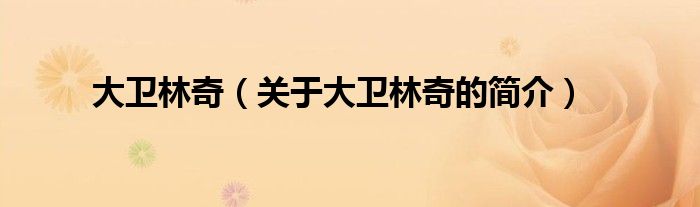 大衛(wèi)林奇（關(guān)于大衛(wèi)林奇的簡(jiǎn)介）