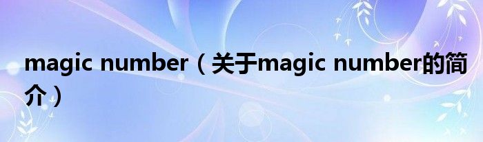 magic number（關于magic number的簡介）