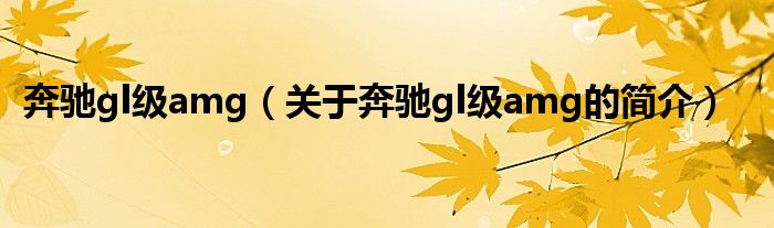 奔馳gl級(jí)amg（關(guān)于奔馳gl級(jí)amg的簡(jiǎn)介）