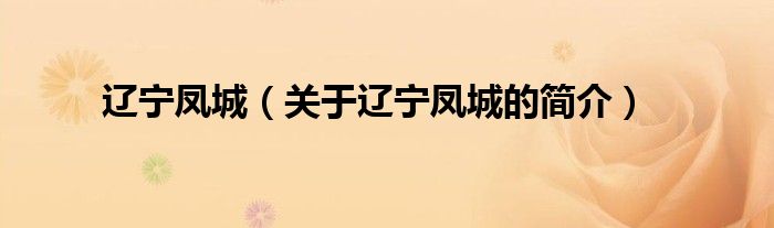 遼寧鳳城（關(guān)于遼寧鳳城的簡(jiǎn)介）