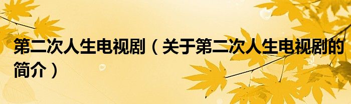 第二次人生電視劇（關(guān)于第二次人生電視劇的簡(jiǎn)介）