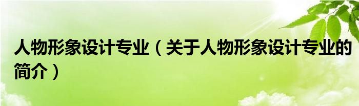 人物形象設(shè)計專業(yè)（關(guān)于人物形象設(shè)計專業(yè)的簡介）