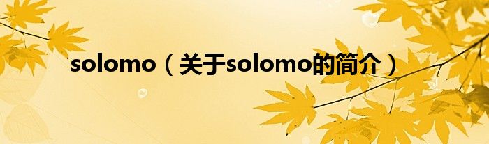 solomo（關(guān)于solomo的簡介）