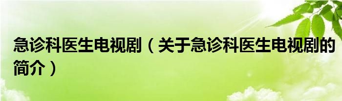 急診科醫(yī)生電視?。P(guān)于急診科醫(yī)生電視劇的簡介）