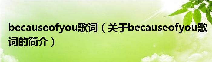 becauseofyou歌詞（關于becauseofyou歌詞的簡介）