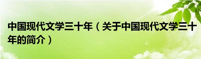 中國現(xiàn)代文學(xué)三十年（關(guān)于中國現(xiàn)代文學(xué)三十年的簡介）