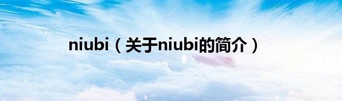 niubi（關(guān)于niubi的簡介）