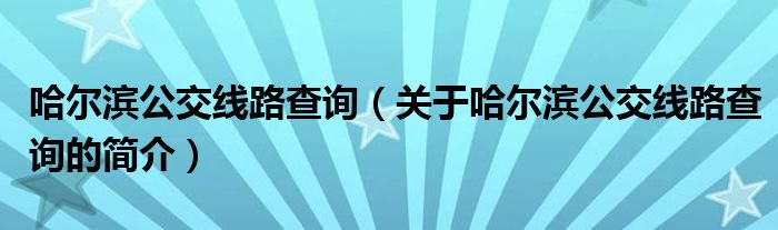 哈爾濱公交線路查詢（關于哈爾濱公交線路查詢的簡介）