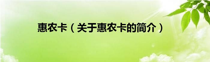 惠農(nóng)卡（關(guān)于惠農(nóng)卡的簡(jiǎn)介）