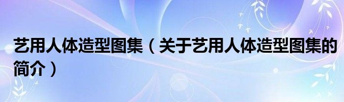 藝用人體造型圖集（關于藝用人體造型圖集的簡介）