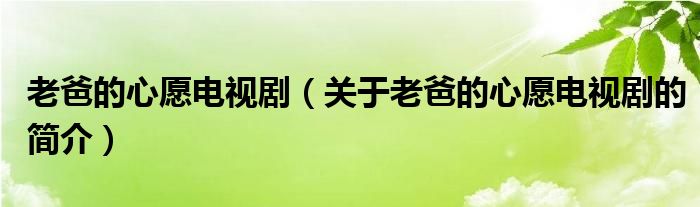 老爸的心愿電視?。P(guān)于老爸的心愿電視劇的簡(jiǎn)介）