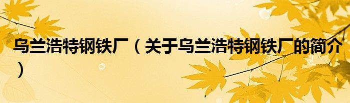 烏蘭浩特鋼鐵廠（關(guān)于烏蘭浩特鋼鐵廠的簡介）