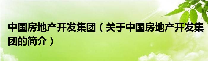 中國房地產開發(fā)集團（關于中國房地產開發(fā)集團的簡介）