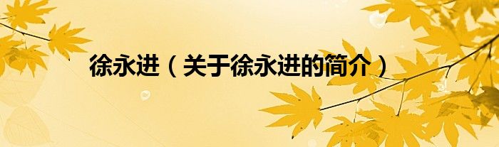 徐永進(jìn)（關(guān)于徐永進(jìn)的簡(jiǎn)介）