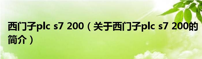 西門子plc s7 200（關(guān)于西門子plc s7 200的簡介）