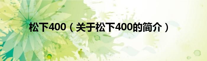 松下400（關(guān)于松下400的簡(jiǎn)介）