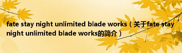 fate stay night unlimited blade works（關(guān)于fate stay night unlimited blade works的簡介）