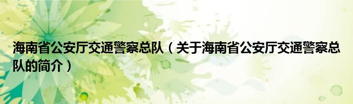 海南省公安廳交通警察總隊（關(guān)于海南省公安廳交通警察總隊的簡介）