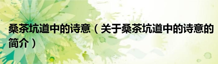 桑茶坑道中的詩(shī)意（關(guān)于桑茶坑道中的詩(shī)意的簡(jiǎn)介）