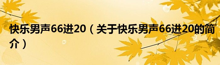 快樂男聲66進20（關(guān)于快樂男聲66進20的簡介）