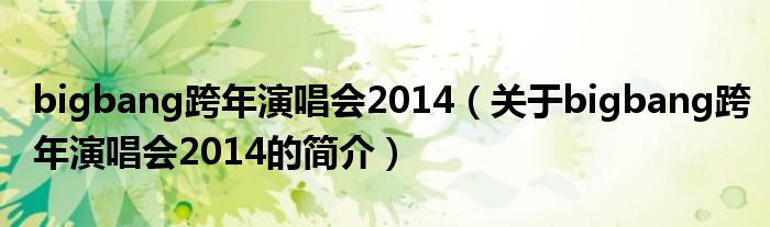 bigbang跨年演唱會(huì)2014（關(guān)于bigbang跨年演唱會(huì)2014的簡(jiǎn)介）