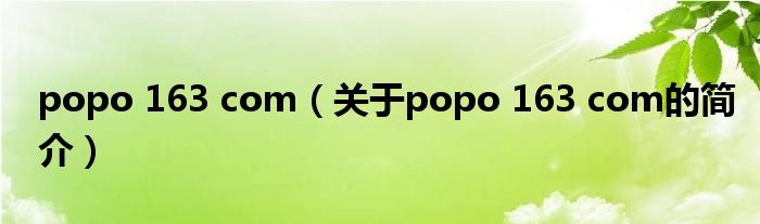 popo 163 com（關(guān)于popo 163 com的簡(jiǎn)介）