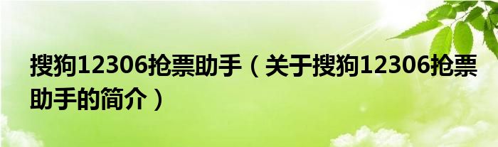 搜狗12306搶票助手（關(guān)于搜狗12306搶票助手的簡(jiǎn)介）