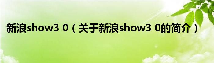 新浪show3 0（關(guān)于新浪show3 0的簡介）