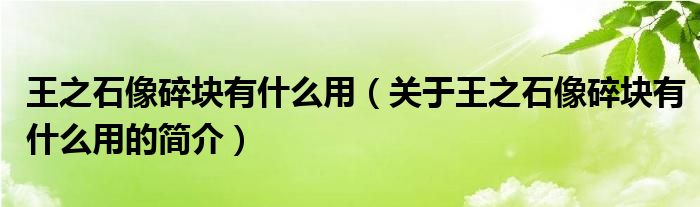 王之石像碎塊有什么用（關(guān)于王之石像碎塊有什么用的簡介）