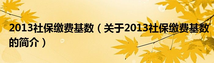 2013社保繳費(fèi)基數(shù)（關(guān)于2013社保繳費(fèi)基數(shù)的簡(jiǎn)介）