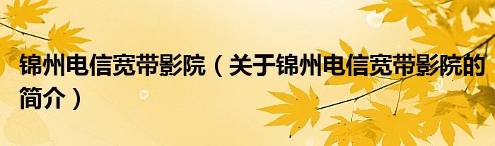 錦州電信寬帶影院（關(guān)于錦州電信寬帶影院的簡介）