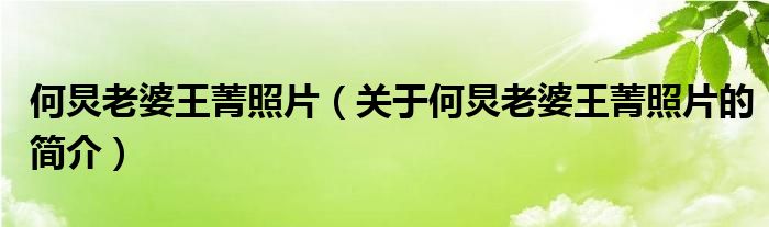 何炅老婆王菁照片（關(guān)于何炅老婆王菁照片的簡(jiǎn)介）