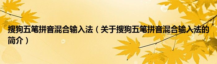 搜狗五筆拼音混合輸入法（關于搜狗五筆拼音混合輸入法的簡介）