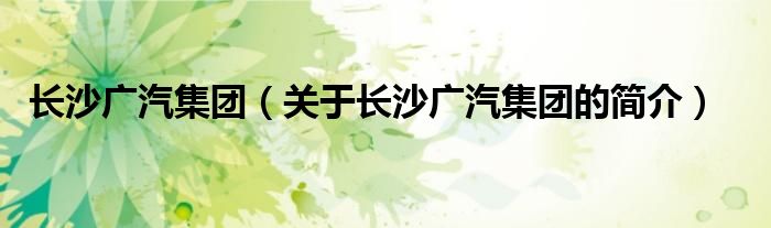 長沙廣汽集團(tuán)（關(guān)于長沙廣汽集團(tuán)的簡介）