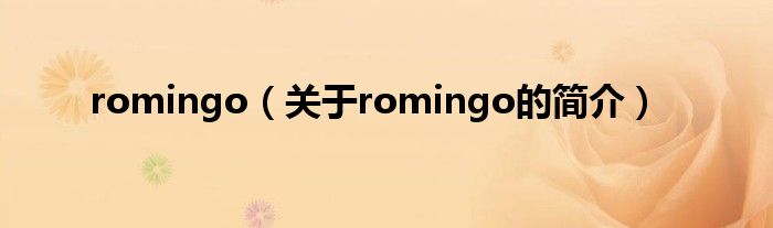 romingo（關于romingo的簡介）