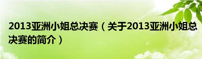 2013亞洲小姐總決賽（關于2013亞洲小姐總決賽的簡介）