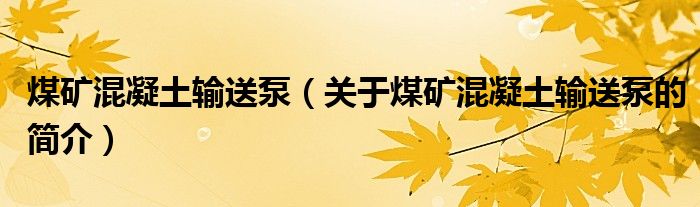 煤礦混凝土輸送泵（關(guān)于煤礦混凝土輸送泵的簡介）